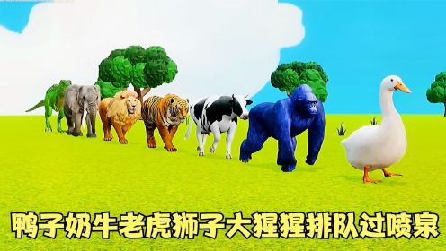 益智游戏：鸭子奶牛老虎狮子大猩猩等动物排队过魔法喷泉