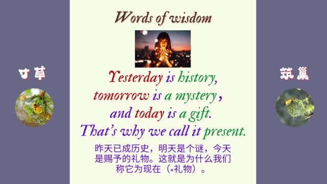 智者名言迷惘时不困惑 D70 | 英语学习 | Learn English | 英语口语 | Daily English Conversation