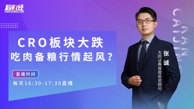 大同证券首席投顾张诚:CRO板块大跌,吃肉备粮行情起风?