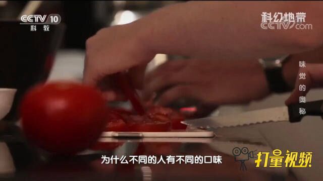 为何不同人有不同口味?味觉是文化、经验和基因的融合