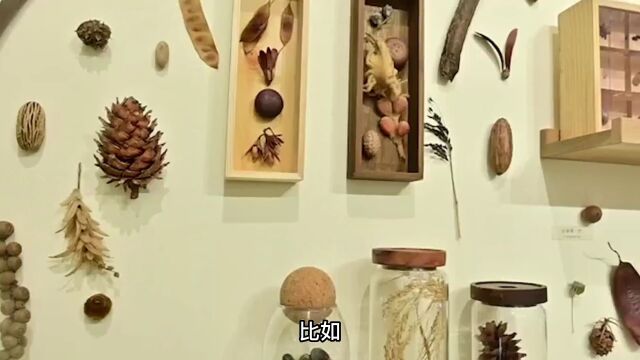 云南网络名人说丨植物学家上官法智:探寻云南生物多样性就像开盲盒