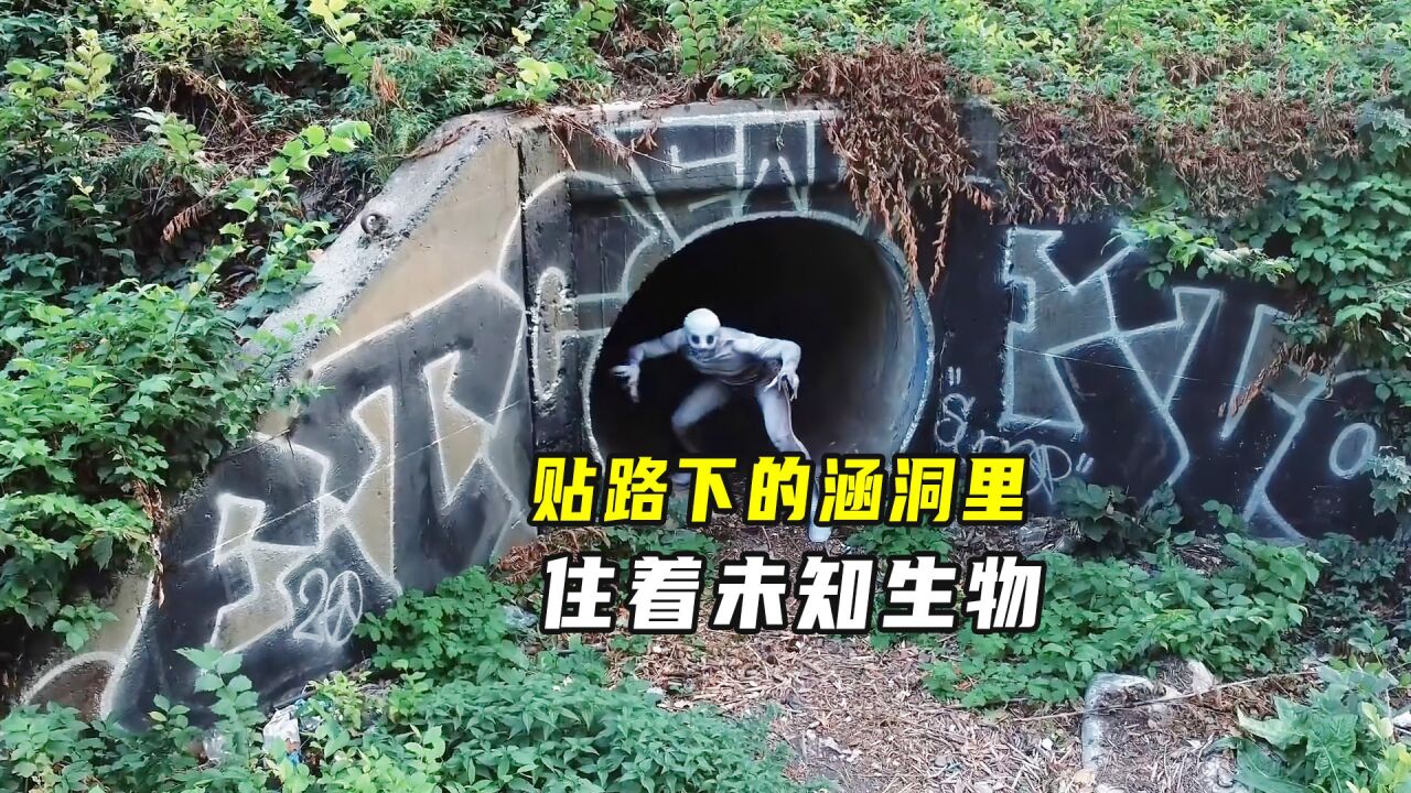 铁路下出现未知的怪物，煞白的身体，长长的獠牙_腾讯视频