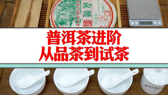 普洱茶品茶VS试茶,两者有何区别?行家专业解读