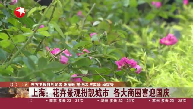 上海:花卉景观扮靓城市 各大商圈喜迎国庆