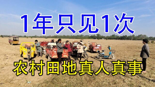 实拍河南田地的真人真事,是“不公平”还是活受罪?场面难得一见