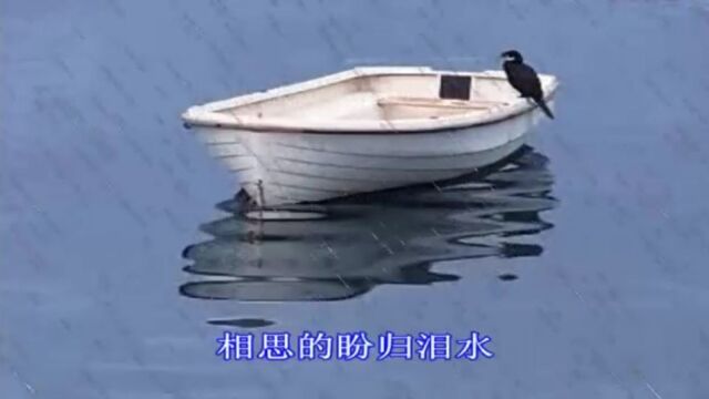 秋梦 朱跃明演唱