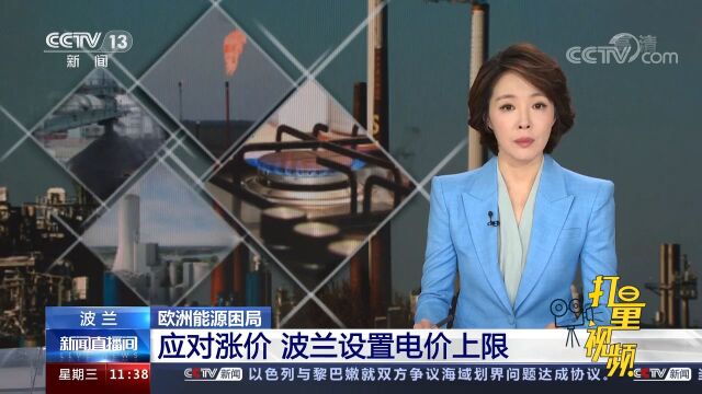 波兰设置电价上限,保护中小企业和民众免受能源成本飙升的影响