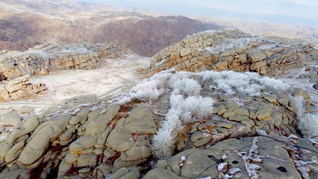 新疆阿勒泰雪后石城布满银霜:晶莹如雀羽美不胜收