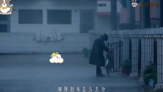 风中有朵雨做的云 粤语版 梦中飘落雨湿了身!