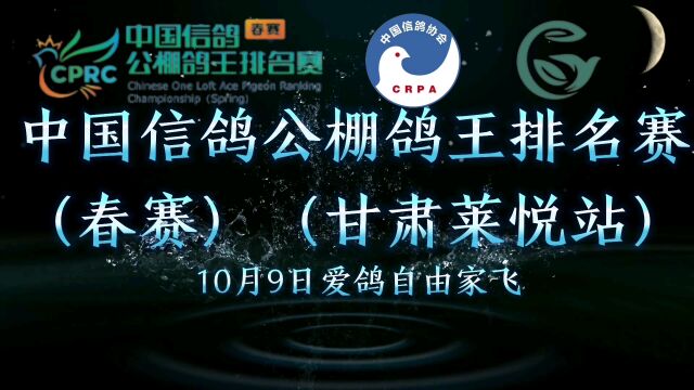 中国信鸽公棚鸽王排名赛(春赛)(甘肃莱悦站)10月9日爱鸽自由家飞