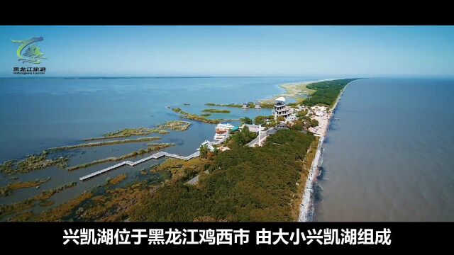 五彩缤纷的湖岗公路等你来打卡!