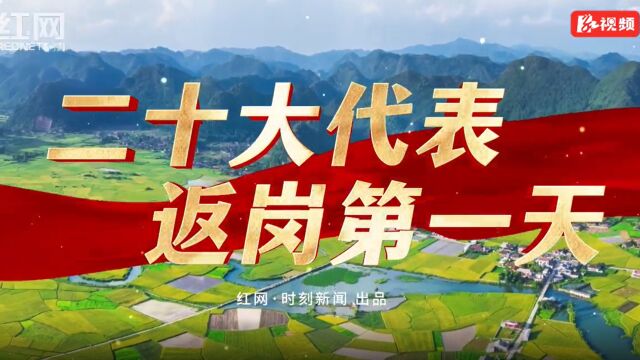 二十大代表返岗第一天丨罗毅君:先学一步 学深一步 让二十大精神更加入脑入心