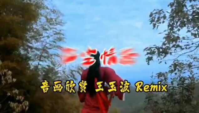 红尘情路 王玉波 Remix