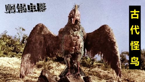古代怪鸟身高5米，体重800吨，性格友好善良，会帮人类打怪兽