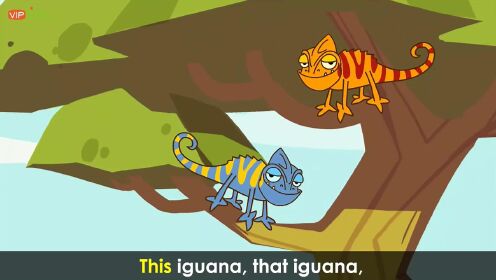 字母歌：POP-I，第一次看见这样的动物，它叫iguana鬣蜥蜴