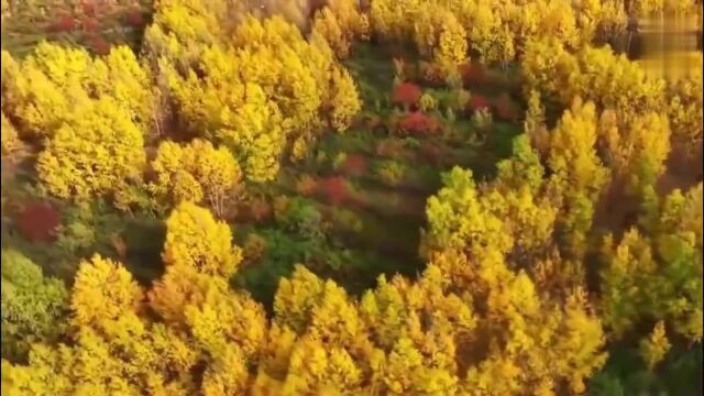 美丽宁夏风景无限好