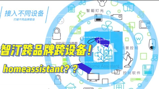 智汀跨品牌跨设备!homeassistant??