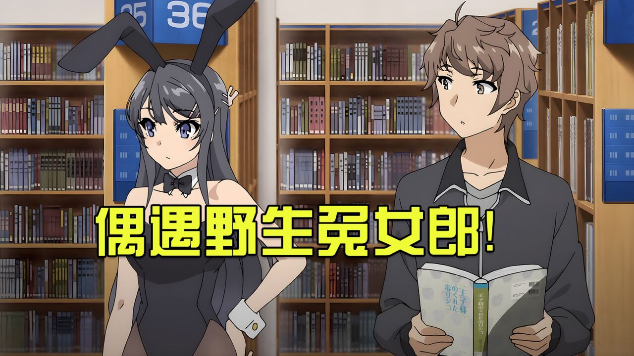 在图书馆就能看到野生兔女郎?人活着就是为了麻衣学姐!_腾讯视频