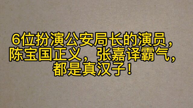 6位扮演公安局长的演员,陈宝国正义,张嘉译霸气,都是真汉子!