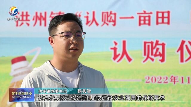 洪州:创新接茬轮种模式 促进农业提质增效