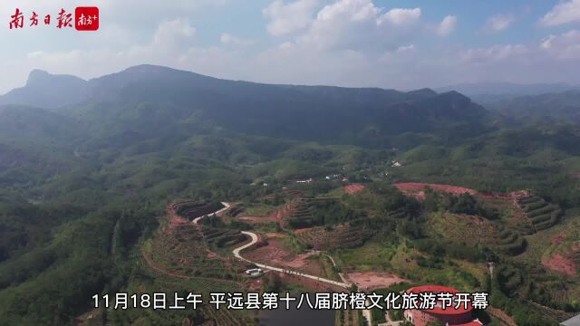 多彩橙乡 跑出健康!梅州平远第十八届脐橙文化旅游节开幕