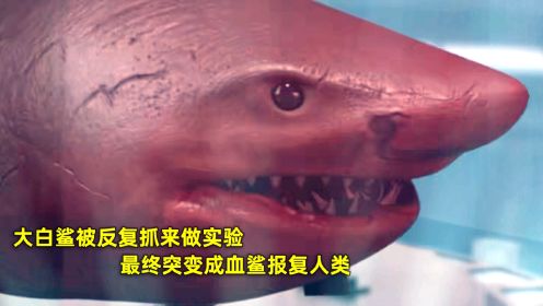 大白鲨被反复抓来做实验，最终突变成血鲨报复人类