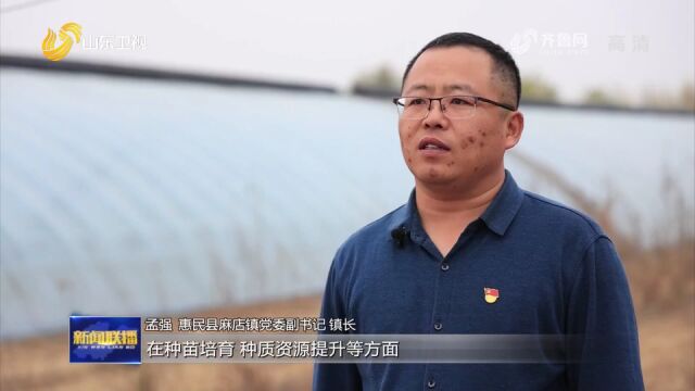 山东:发展特色产业 让农业增值农民增收