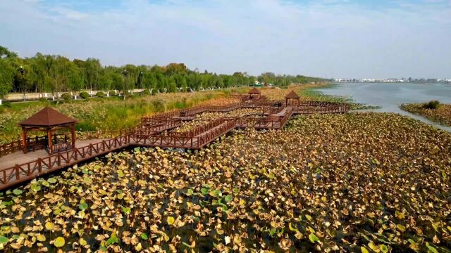 河南周口淮阳区:龙湖冬夏