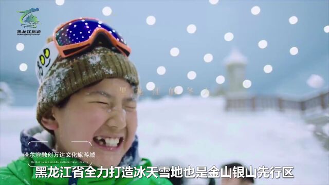 中国北方冰雪旅游海外推广季启动!