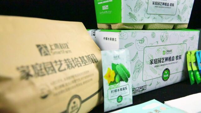 上甫科技家庭园艺种植盒套装开箱及播种教学视频