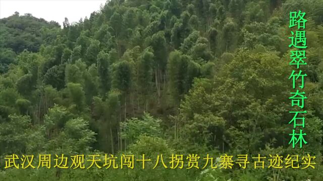 武汉周边二日游之路遇翠竹奇石林