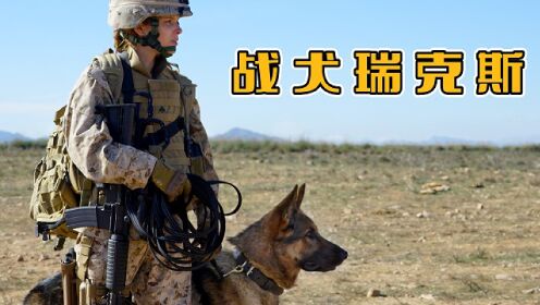 《战犬瑞克斯》刺头军犬与萌新女兵，一人一狗相互救赎