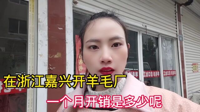 在浙江嘉兴二线城市光固定开销就差不多1个w,钱都花在哪里了呢