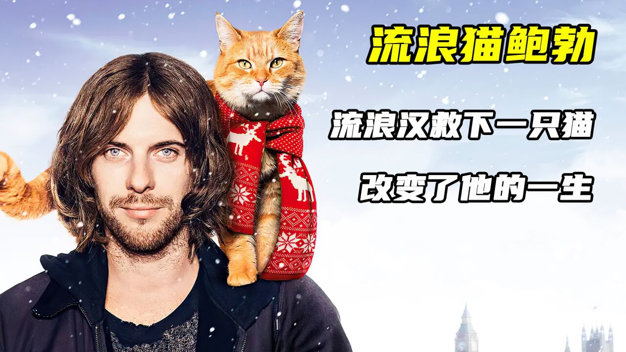 一人一猫，因为经历成为了彼此心灵的归宿_腾讯视频