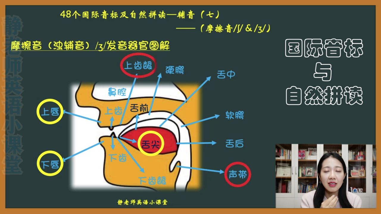 第65集 摩擦音/ʒ/详解及自然拼读_高清1080P在线观看平台_腾讯视频