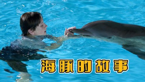 《海豚的故事》男孩救下一只断尾海豚，装上假肢治愈无数人