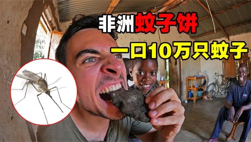 非洲“美食”蚊子饼：50万只蚊子煎成饼，一口下肚10万只蚊子！
