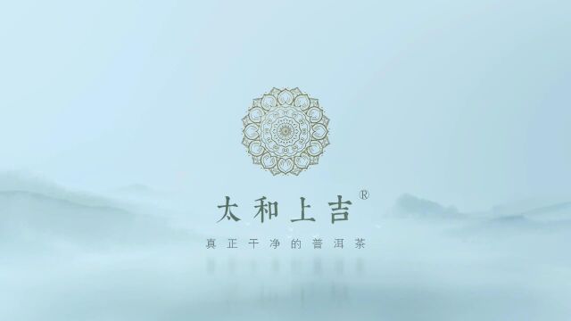 真正干净的熟普小筐离地慢发酵