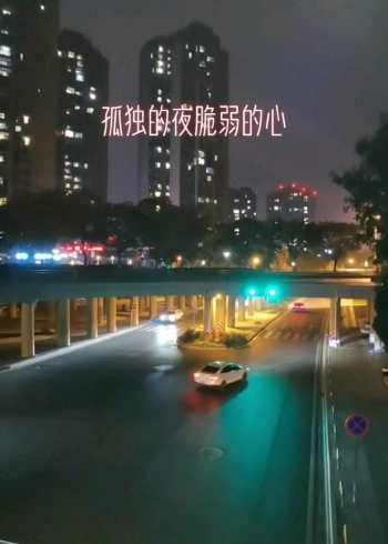 孤独的夜脆弱的心
