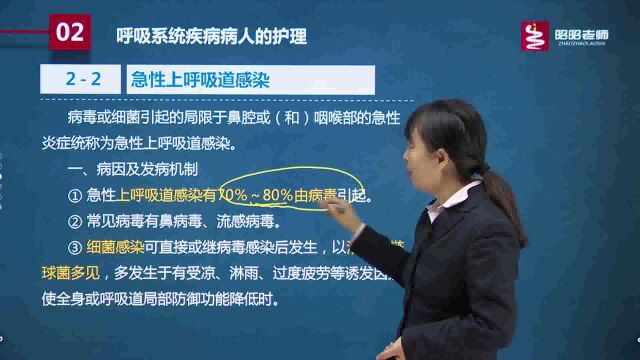 2023最新 昭昭 初级护师中级主管护师执业护士资格证 视频全部有