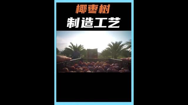 椰枣树的制造工艺,听说椰枣对男性非常好?#寻找1000位科普达人 #科普 #科普一下