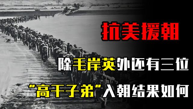 除毛岸英外,还有三位“高干子弟”,入朝作战,结果如何?