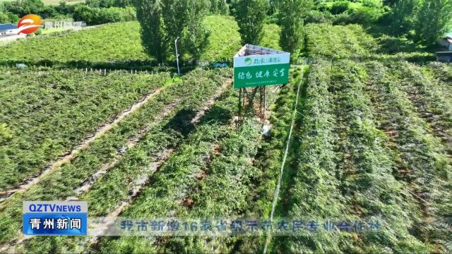 青州市新增16家省级示范农民专业合作社