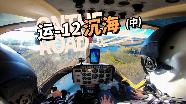 航空器入海,张昕宇如何解决流体力学和结构不稳定的困扰?