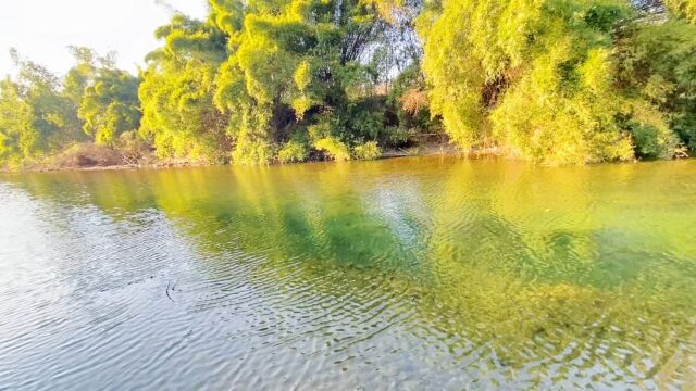 色彩缤纷又一村,桂林大圩古镇毛洲岛