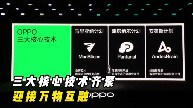 自研芯片、跨端系统、智能云服务,OPPO做这些有何意义?