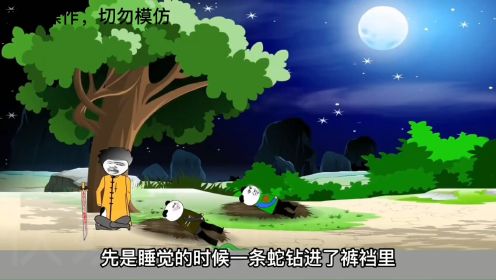 沙雕动画合集：第四十九集 降妖天师六