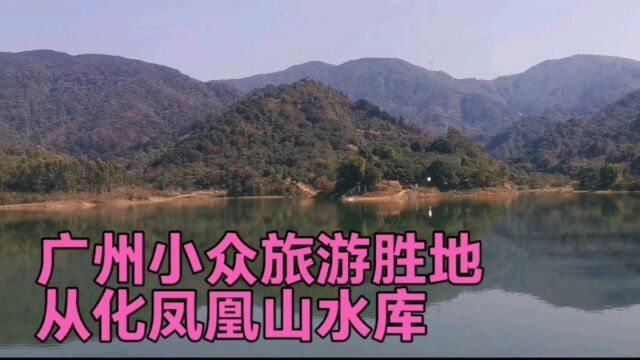 广州小众的旅游胜地凤凰山水库,这里出产的山坑鱼真是人间美味