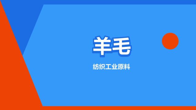 “羊毛”是什么意思?