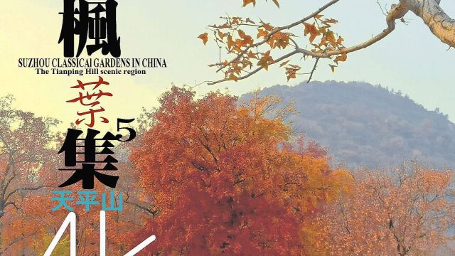 苏州古典园林赏析之《 天平山片片枫叶情》